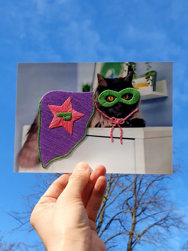 Pet photograph with hand embroidered mask, cape and initial, held against blue sky