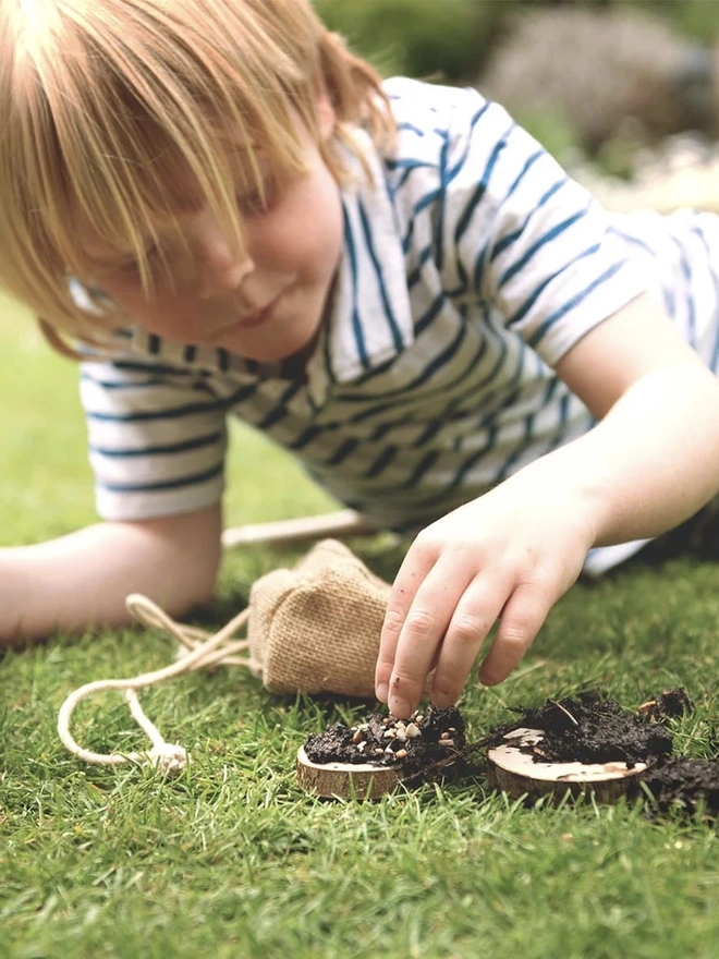 The Make a Pizza for the Birds Kit (Mini) 