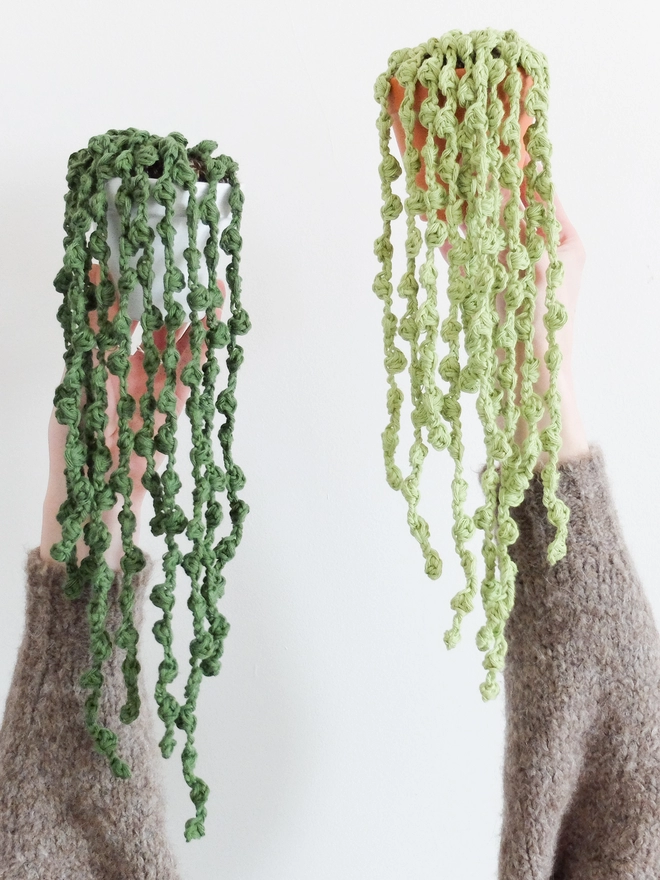 Two crocheted string of pearls plants