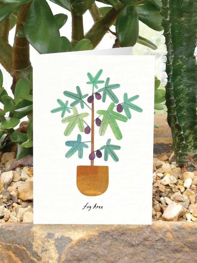 Fig Tree Greeting Card with House Plant Care Tips by Lianne Harrison of Paperwhale Cards