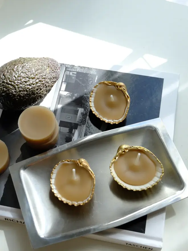 Handcrafted Sea Shell Beeswax Candle Trio 