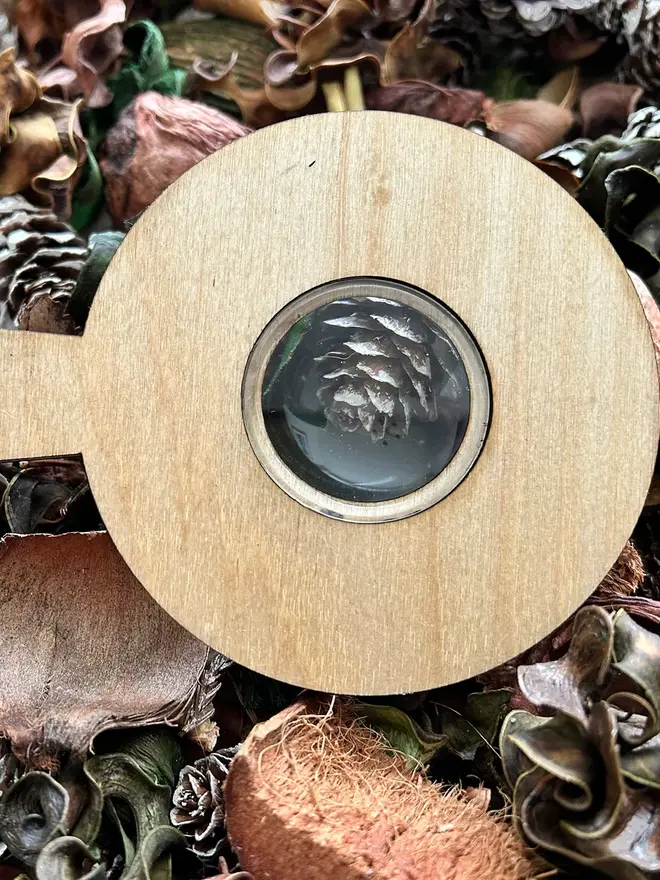 Back of  birch wood bug identification magnifier engraved with detailed bug illustrations, displayed on forest floor materials.