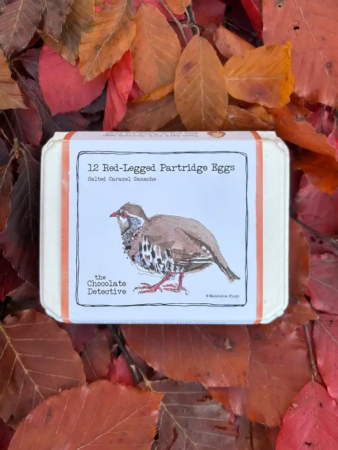 Chocolate detective partridge chocolate eggs on a background of autumn leaves