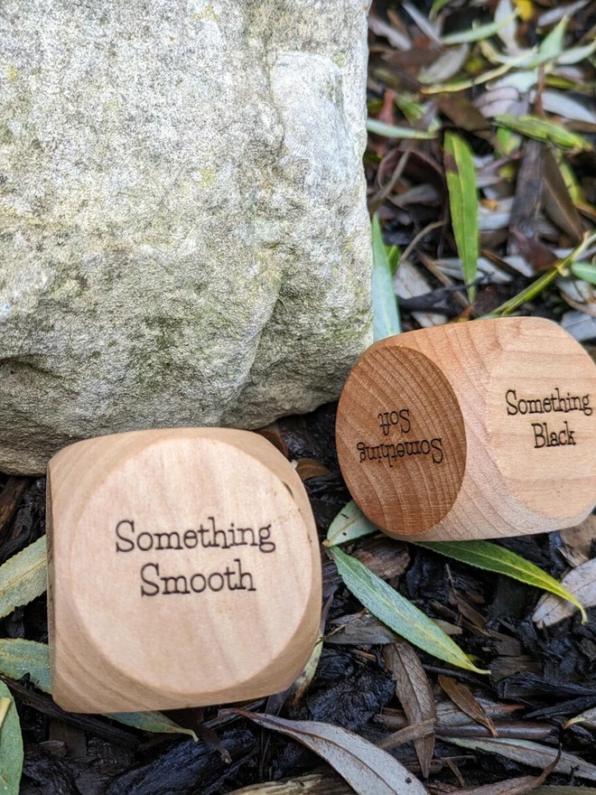 Large beech wood nature scavenger hunt dice engraved with prompts such as ‘Something Smooth’ and ‘Something Black,’ shown outdoors on leaf litter beside a stone.