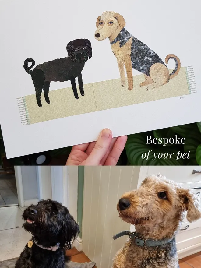 Commission a collage portrait bespoke of your pet by Lianne Harrison