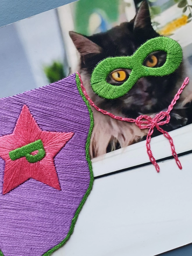 Close up of pet photograph with hand embroidered mask, cape and initial