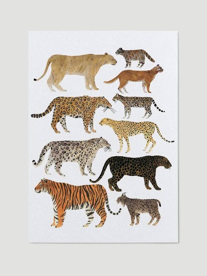 Wild Cats Print