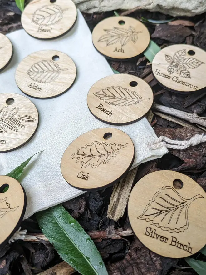 Wooden nature tail scavenger leaf learning discs graved with prompts and nature illustrations, scattered on leaves and forest floor.