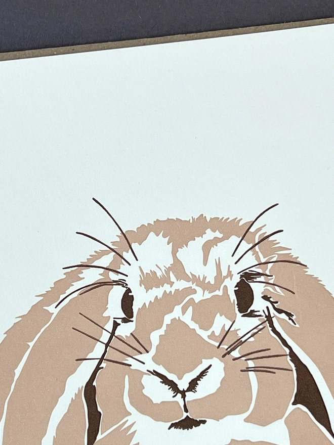 close up of the cute bunny's gentle face and the letterpress impression