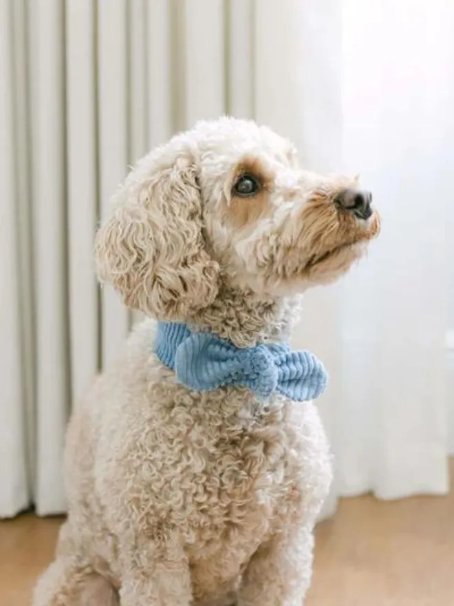 Handmade Corduroy Dog Necktie