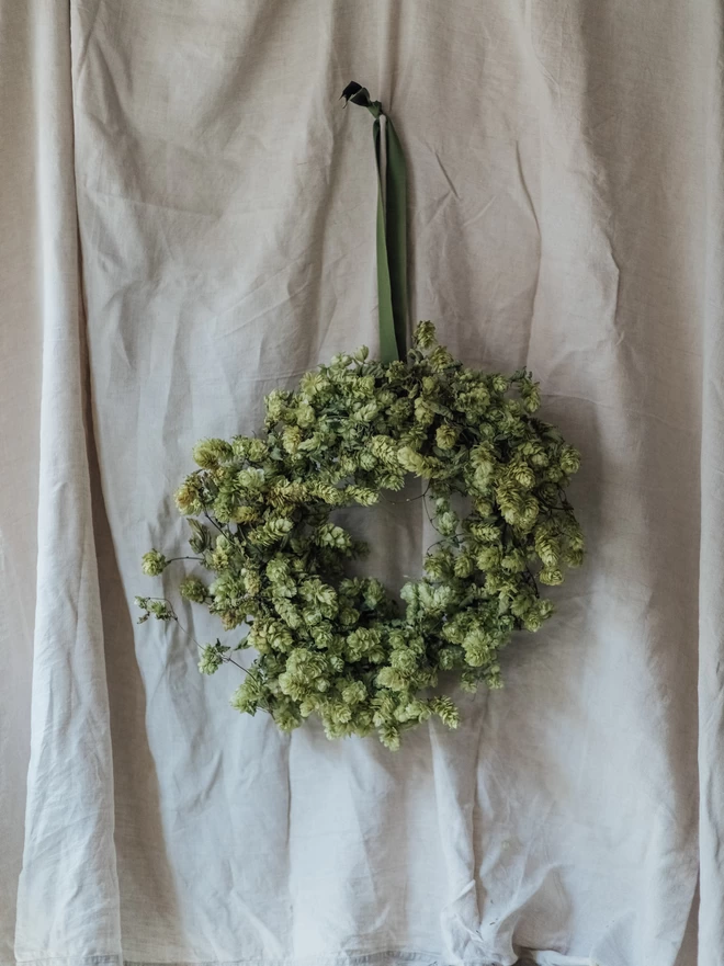 Green Dried Hop Wreath on a White Background