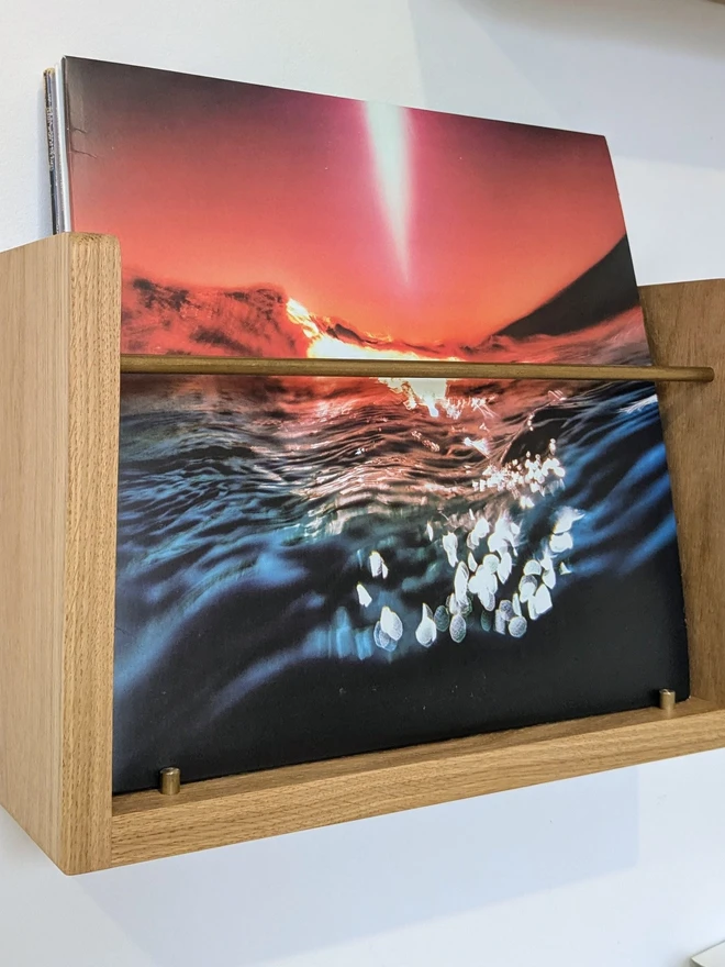 Vinyl LP Shelf Oak & Brass Compound Woodwork