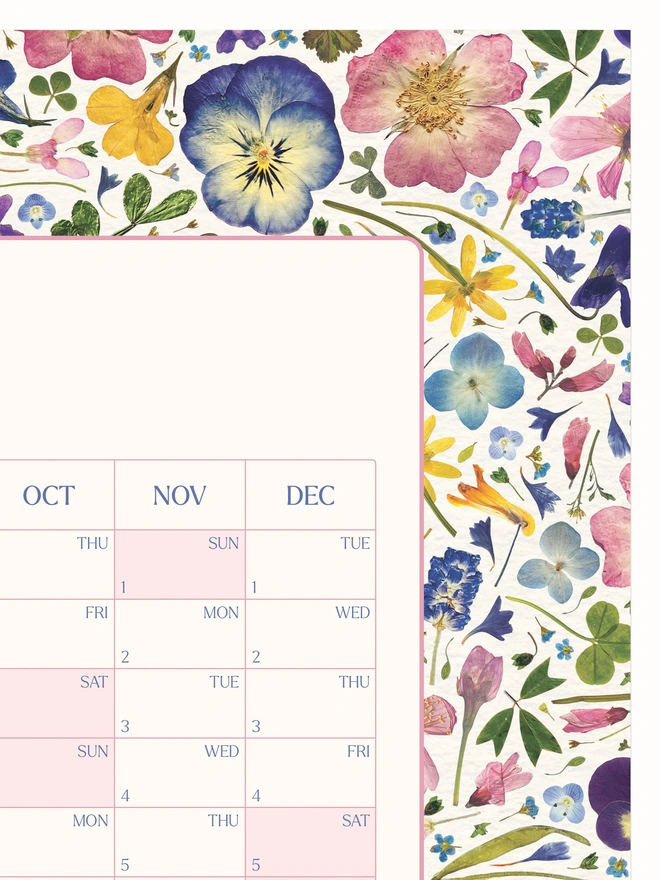 Close-up of a nature inspired wall calendar. A 2026 wall planner with a pretty pressed flower design. Makes a thoughtful home planning or organisational gift or Christmas or birthdays.