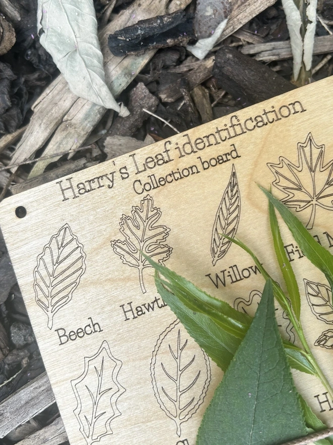 A compact wooden leaf collection board engraved with detailed illustrations of sixteen common tree leaves. Elastic bands run across the board to hold real leaves in place. The surface shows finely carved leaf shapes and textures, designed as a portable nature guide for outdoor learning. The board has a smooth, eco‑friendly finish and a rustic, forest‑school aesthetic