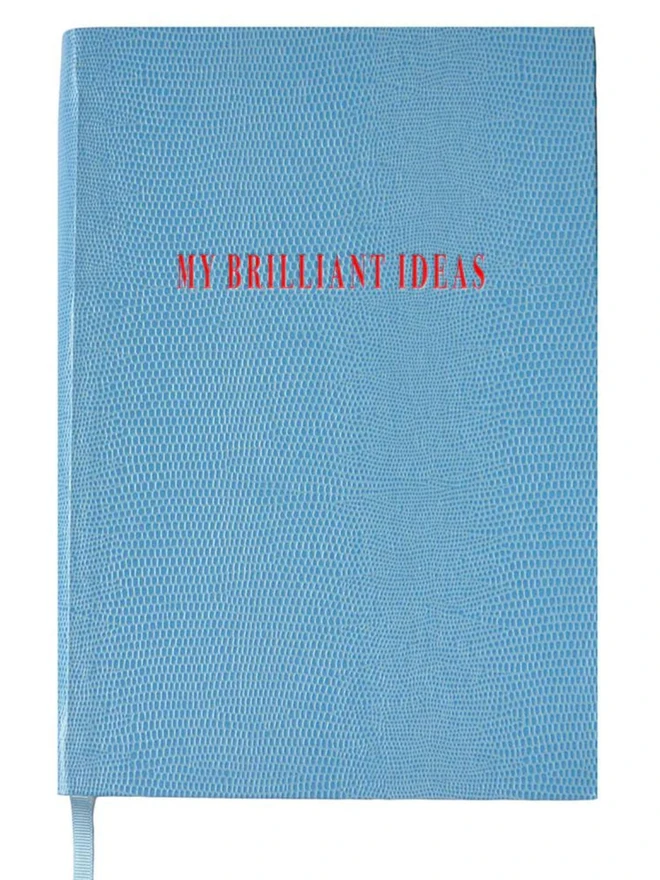 My Brilliant ideas notebook