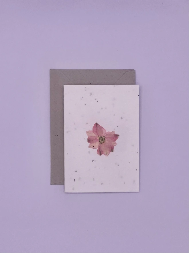 Real Pressed Flower Plantable Notecard, Pink