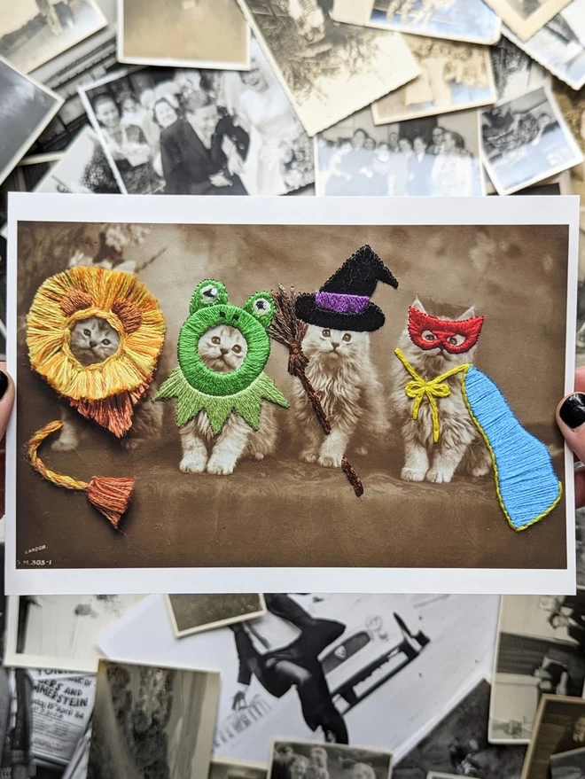  Black and white print 4 cats wearing embroidered frog, lion, superhero, witch costume