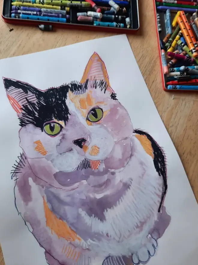 custom illustrated pet portrait. drawn portrait of tortoiseshell cat on white background.