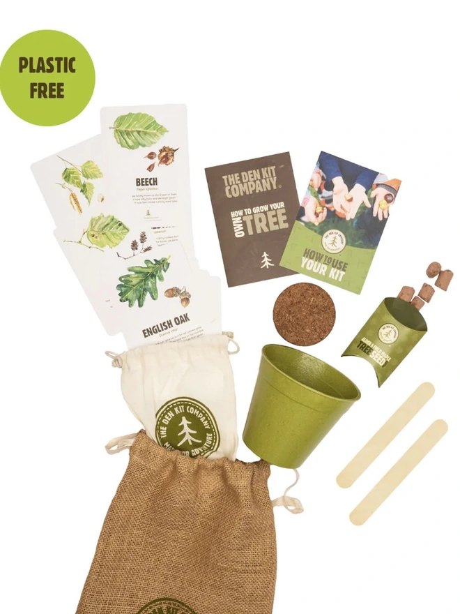 The Grow Your Own British Tree Kit