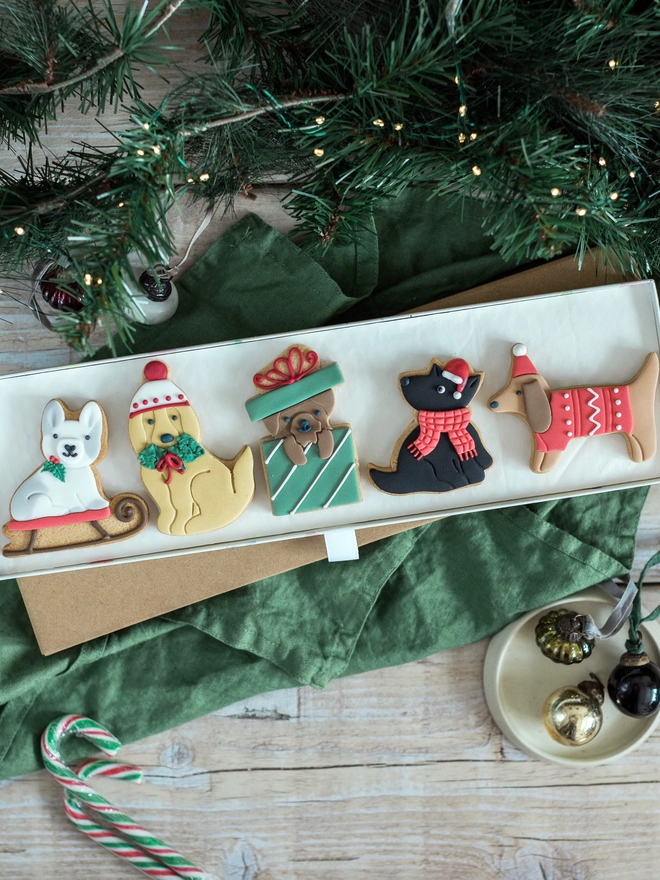 Christmas dogs biscuit gift 