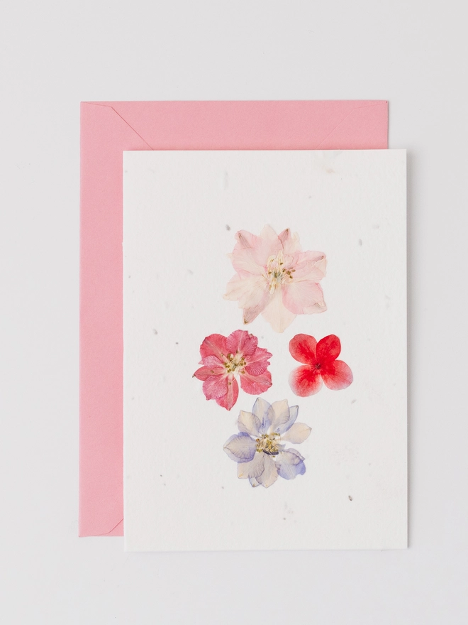 Real Pressed Flower Plantable Card, Pinks