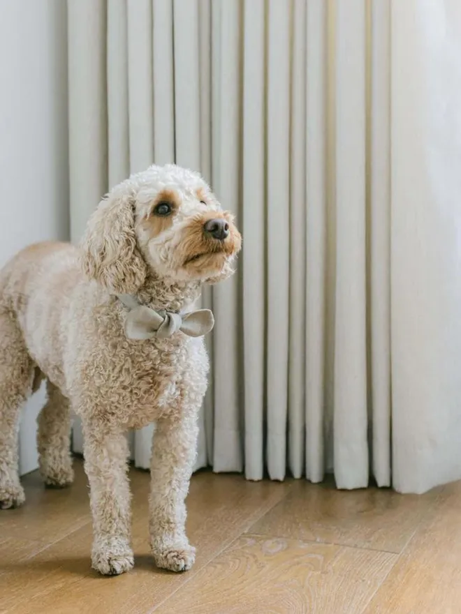 Handmade Linen Dog Necktie