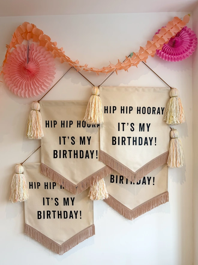 Multi colour Hip Hip Hooray It's my Birthday Handmade fabric birthday banner decorations hanging with paper decorations