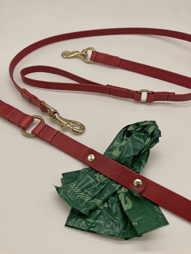 red leather dog lead crop with dog bag