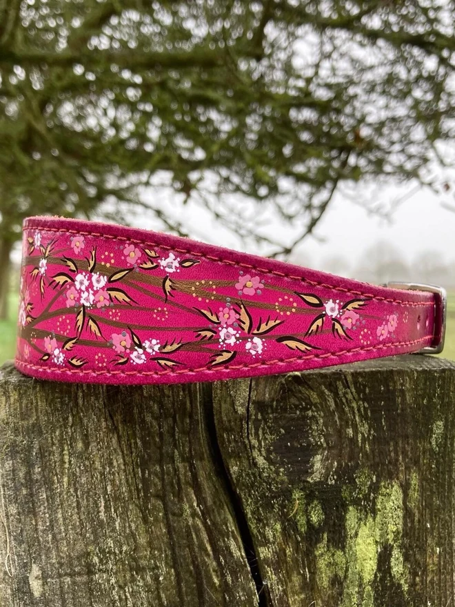 pink floral hand painted leather dog collar