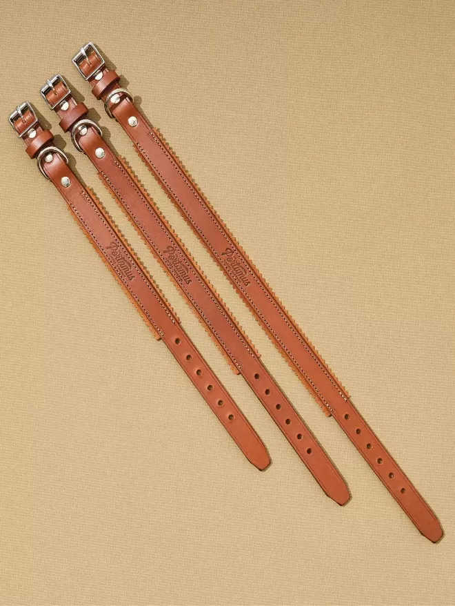 3 brown leather Harleywood dog collars laid flat. 
