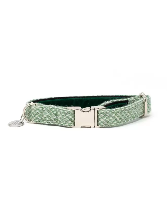luxury handmade Green dog collar