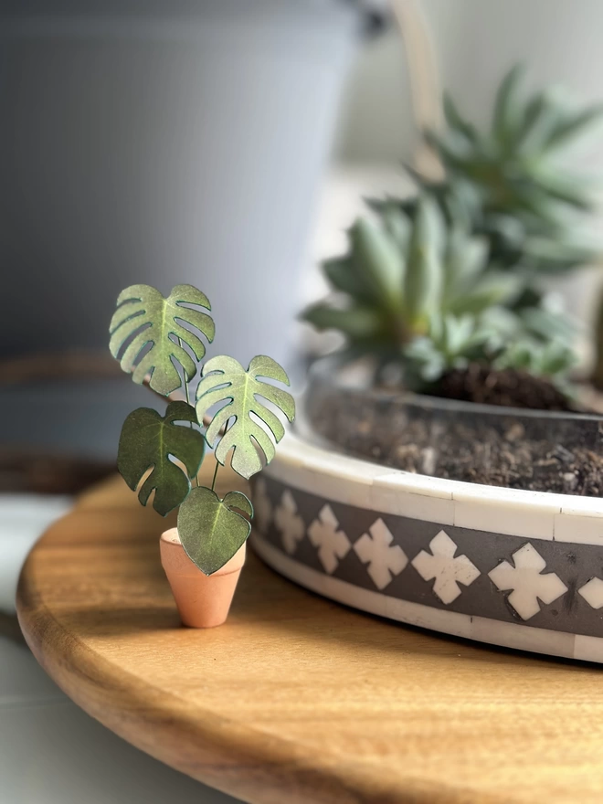 A miniature replica Monstera Deliciosa paper plant sat on a wooden tray with succulent plants in the background