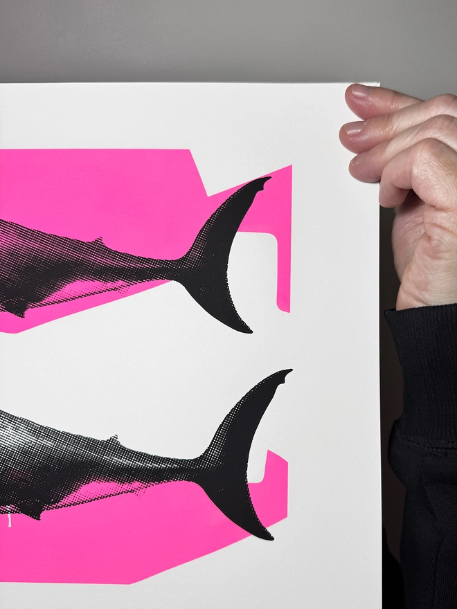 Shark Tank_A3 Screen Printed Poster_Holly and Co_Right close up