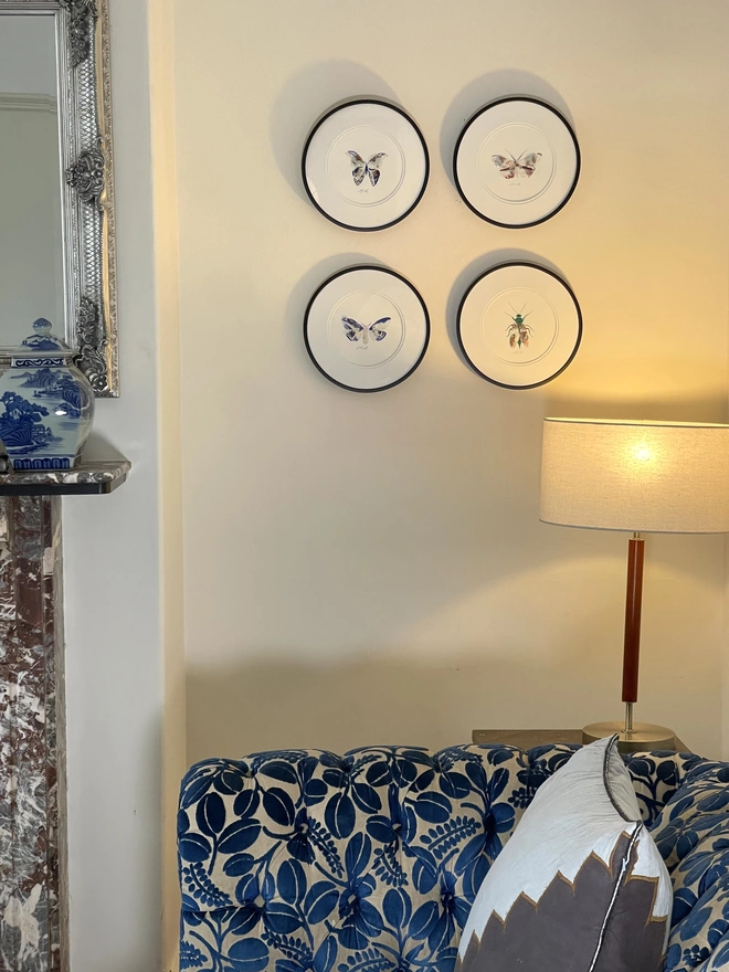 Example of four bugs in black frames hanging on a wall.