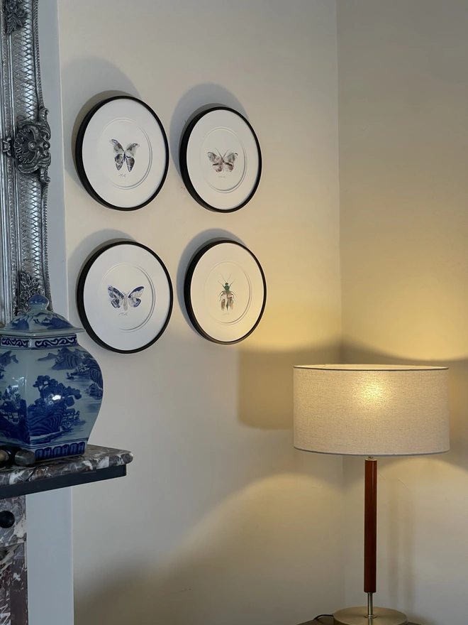 Example of bugs in black frames hanging on a wall.