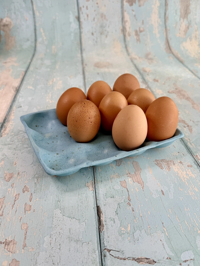 Blue Ceramic Egg Tray kitchen storage 