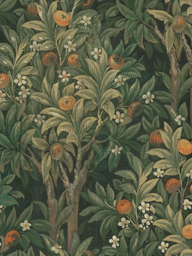 Orange Blossoms Grove Greens Wallpaper