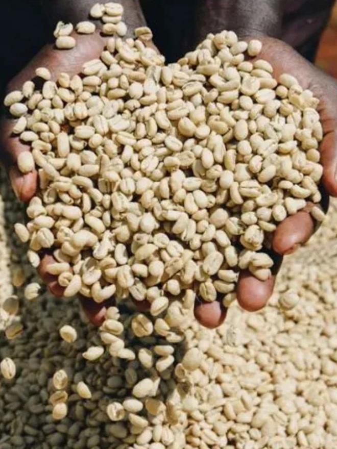 Party All Night Coffee Blend