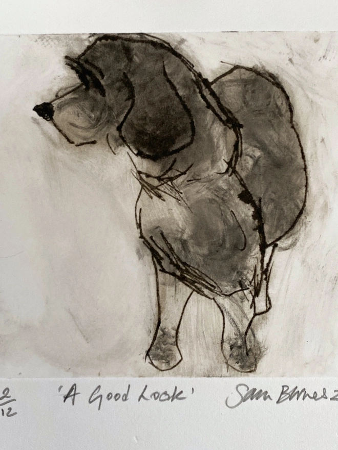 'A Good Look'. Handmade Dog Drypoint Print by Samantha Barnes