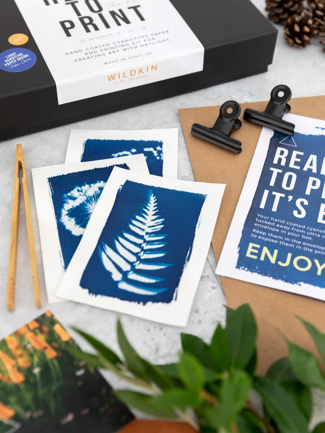cyanotype kit box and paper displayed on a concrete background with foliage and kit contents.