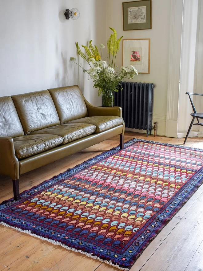Bright hand knotted colourful soft cotton vintage rug in living room