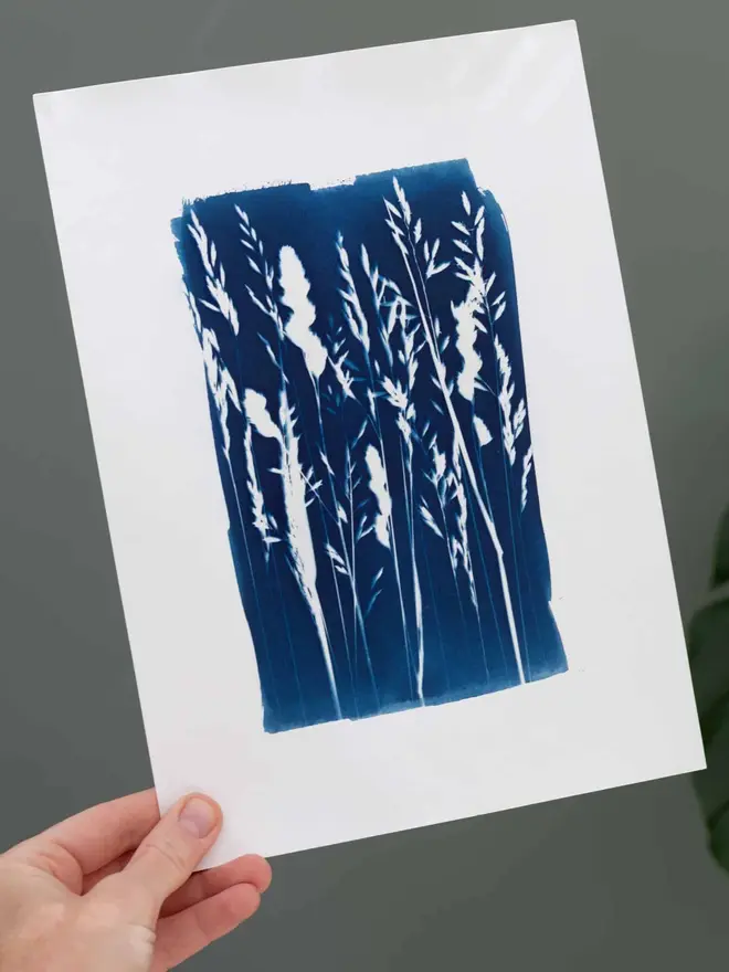 A4 Cyanotype Paper To Create Beautiful Prints With Sunlight