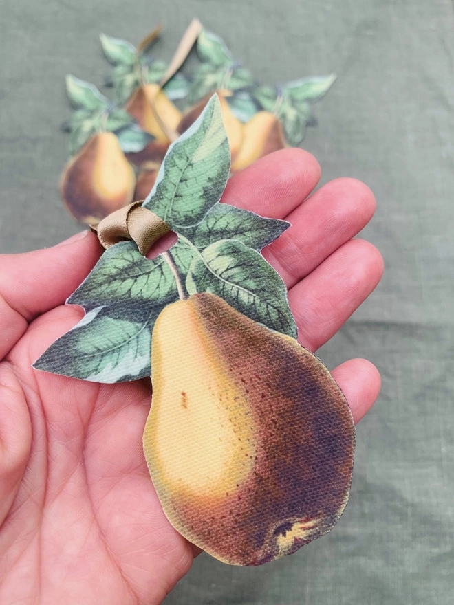A hand holding a cutout pear for scale