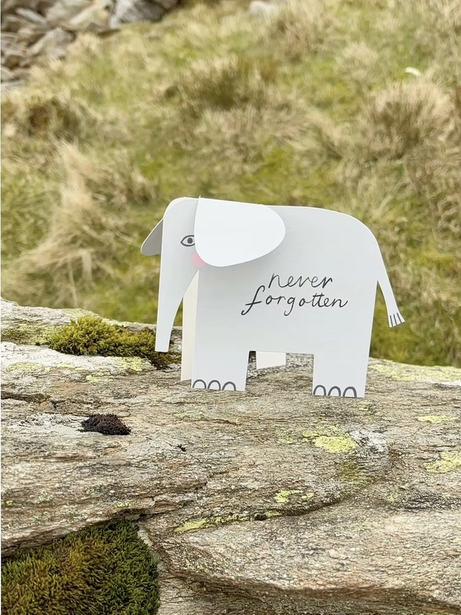 Elephant Card 5 Designs