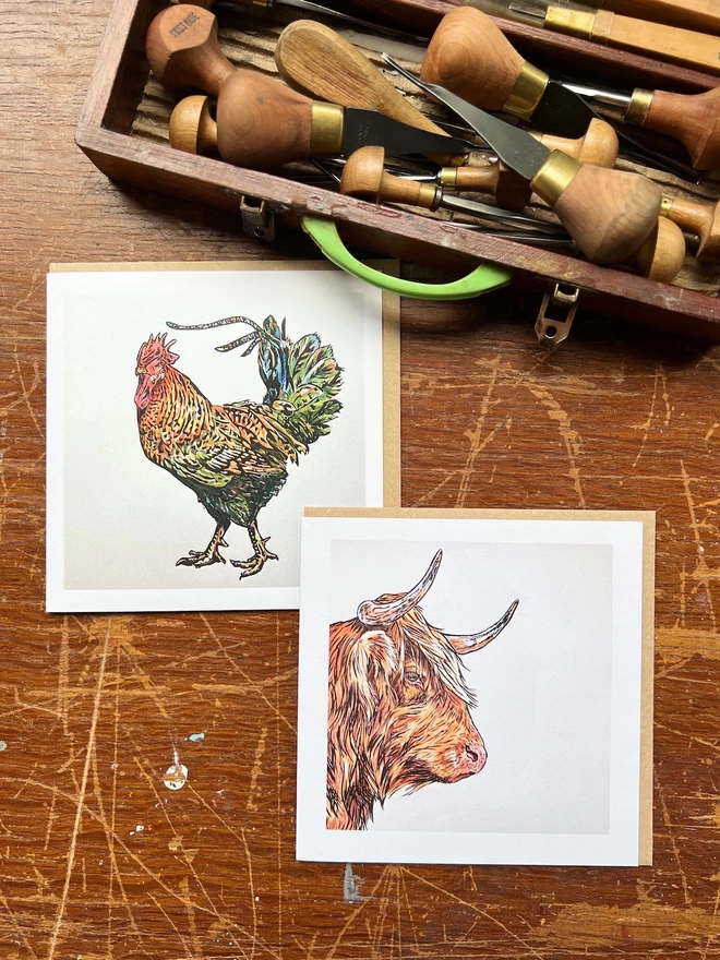 cockerel and Highland cow art cards