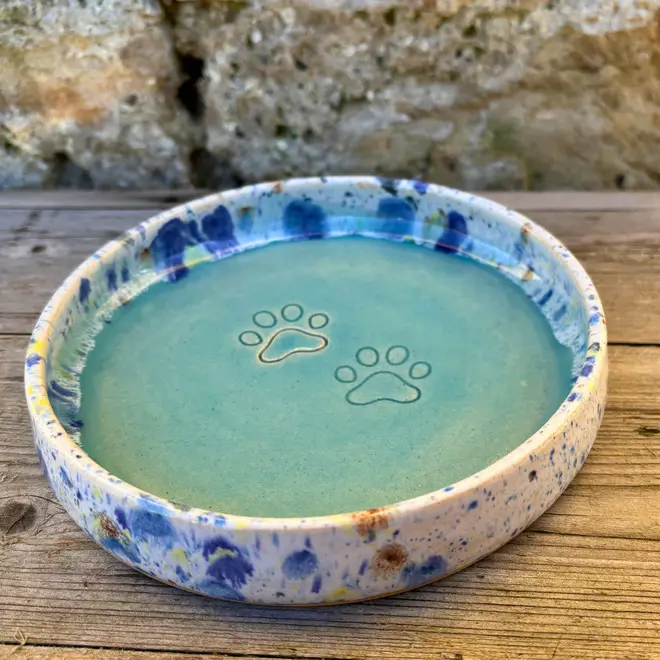 Shoreline Cat Bowl, a colourful cat bowl placed on a wooden surface against a brick backdrop. 