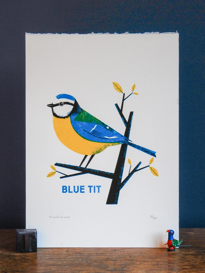 A screenprint of a Blue Tit Bird on white paper against a navy blue background.