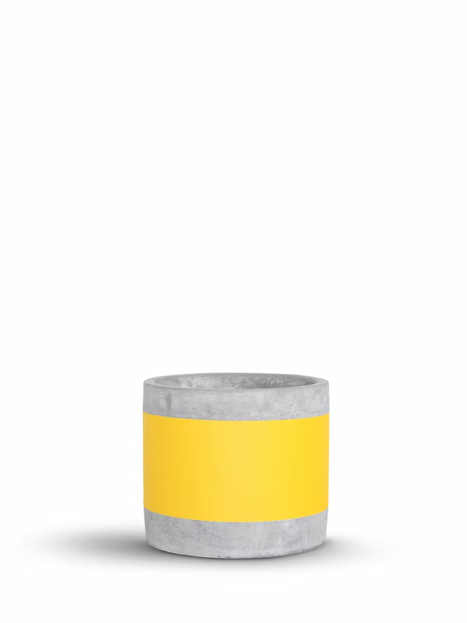 coloured middle concrete plant pot. a grey concrete plant pot with a bright yellow stripe around the middle.