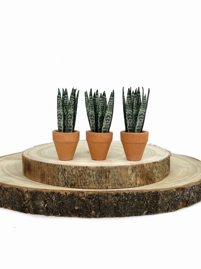 3 miniature replica Sanseveria Snake Plant paper plant ornaments in terracotta pots sat on 2 wooden log slices against a white background