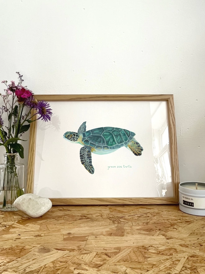 A print of an illustration of a green sea turtle in a frame next to some flowers